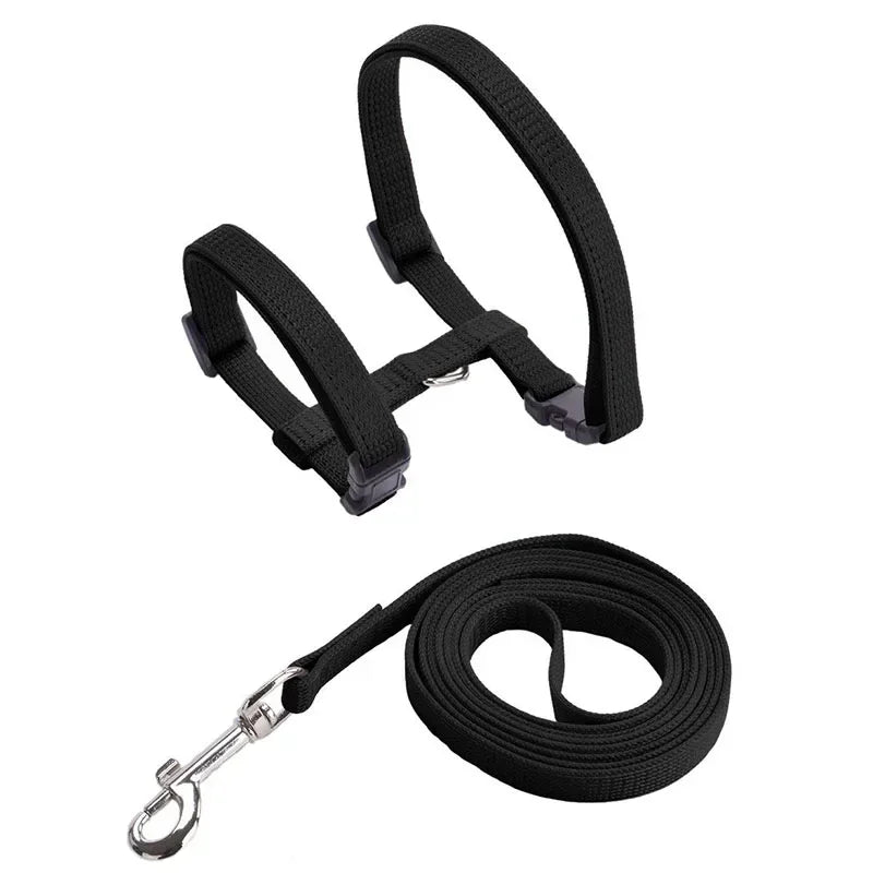 Simple Cat Harness w/ Matching Leash Set