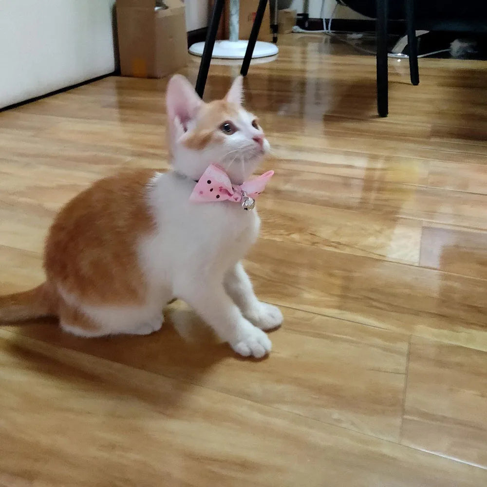 Candy & Summer Themed Breakaway Bowtie Cat Collars