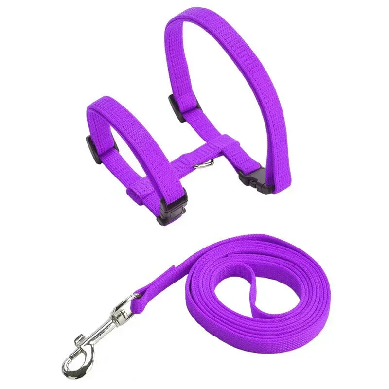 Simple Cat Harness w/ Matching Leash Set