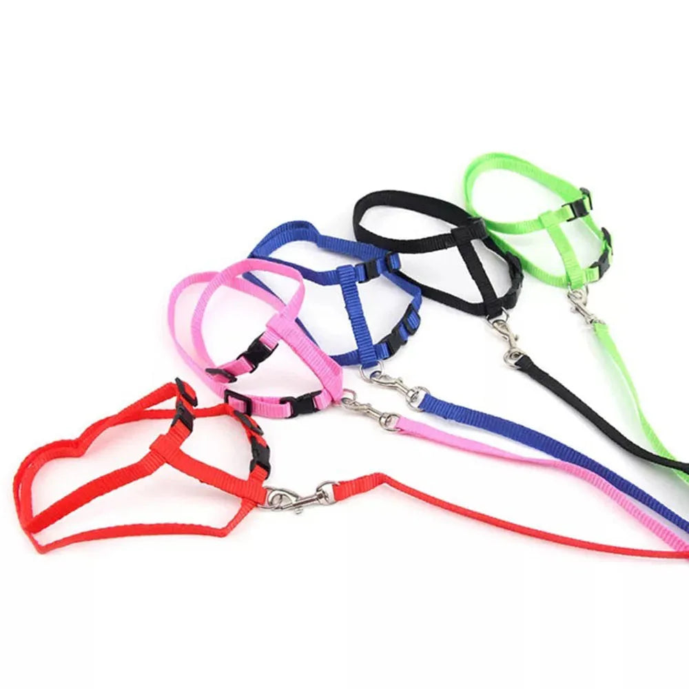 Simple Cat Harness w/ Matching Leash Set