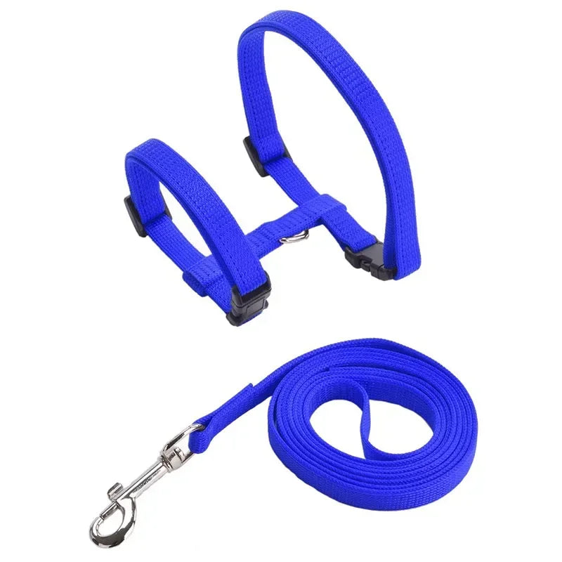 Simple Cat Harness w/ Matching Leash Set