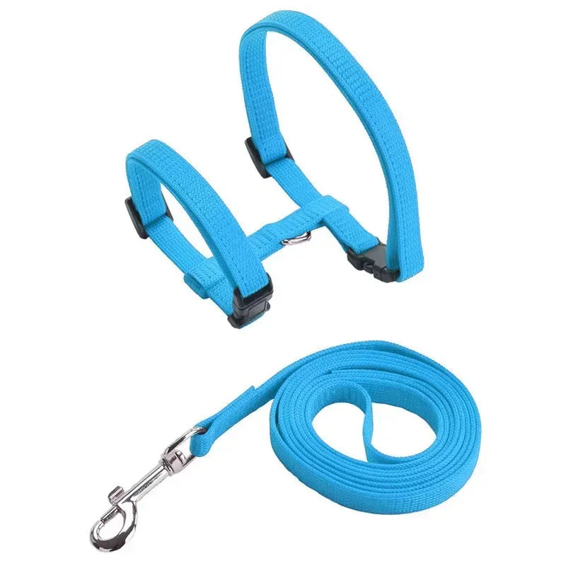 Simple Cat Harness w/ Matching Leash Set