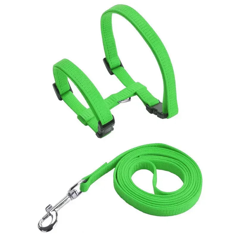 Simple Cat Harness w/ Matching Leash Set