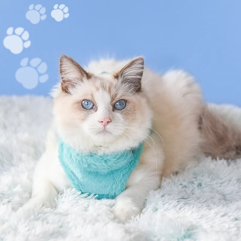 Luxury Winter Cat Harness