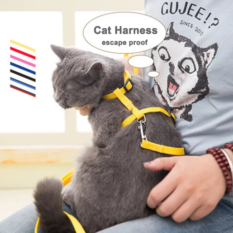 Simple Cat Harness w/ Matching Leash Set
