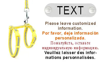 Simple Puurrsonalized Reflective Cat Harness w/ Leash