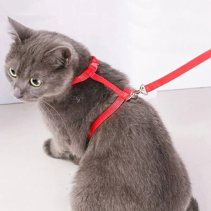 Simple Cat Harness w/ Matching Leash Set