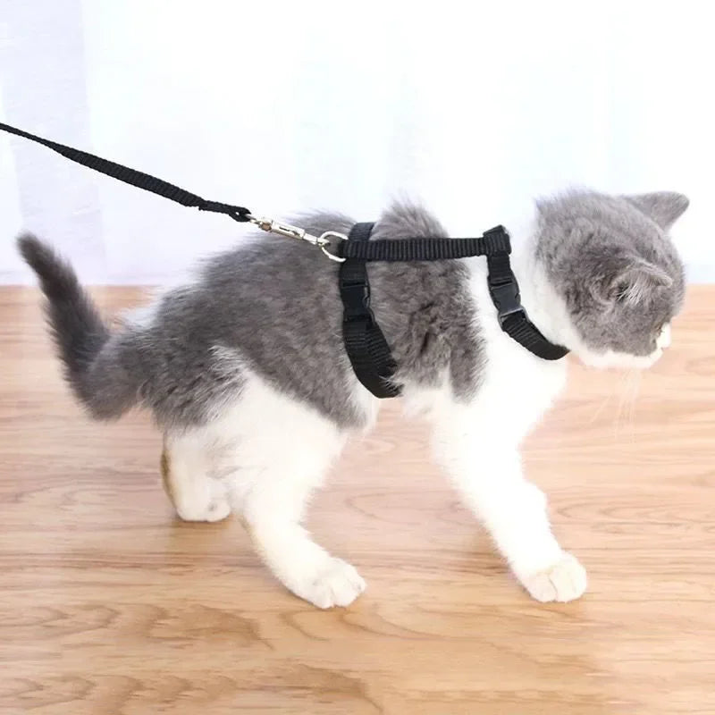 Simple Cat Harness w/ Matching Leash Set