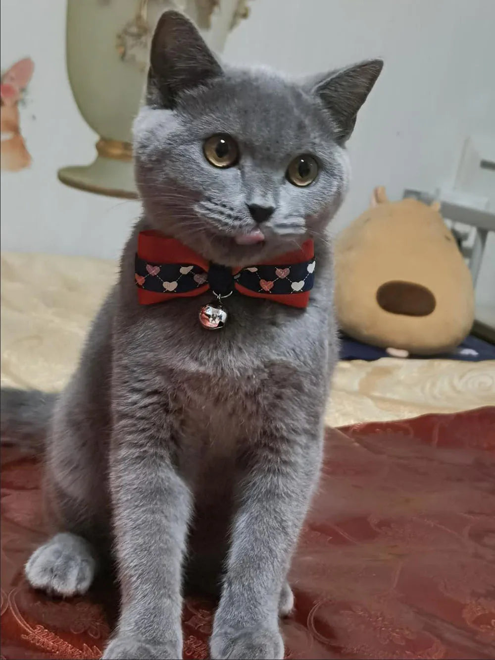 Candy & Summer Themed Breakaway Bowtie Cat Collars