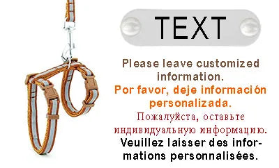 Simple Puurrsonalized Reflective Cat Harness w/ Leash