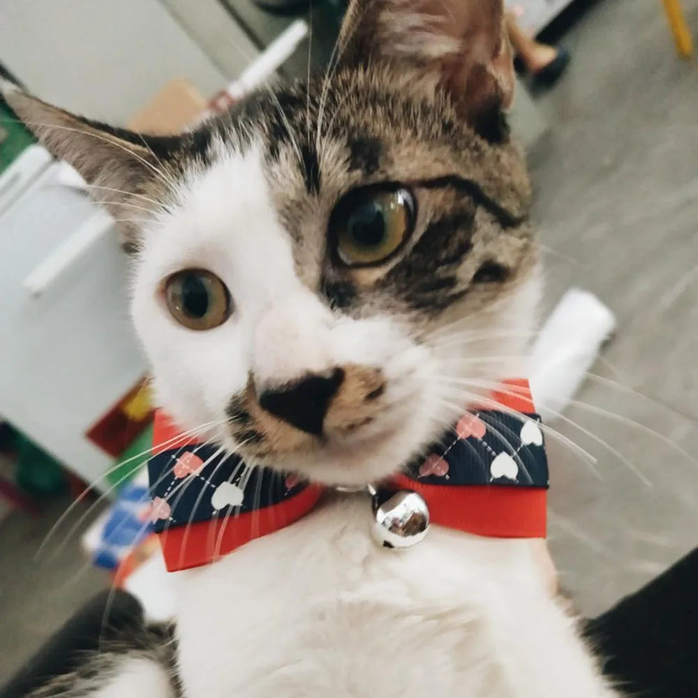 Hexagon and Heart Bowtie Breakaway Cat Collars