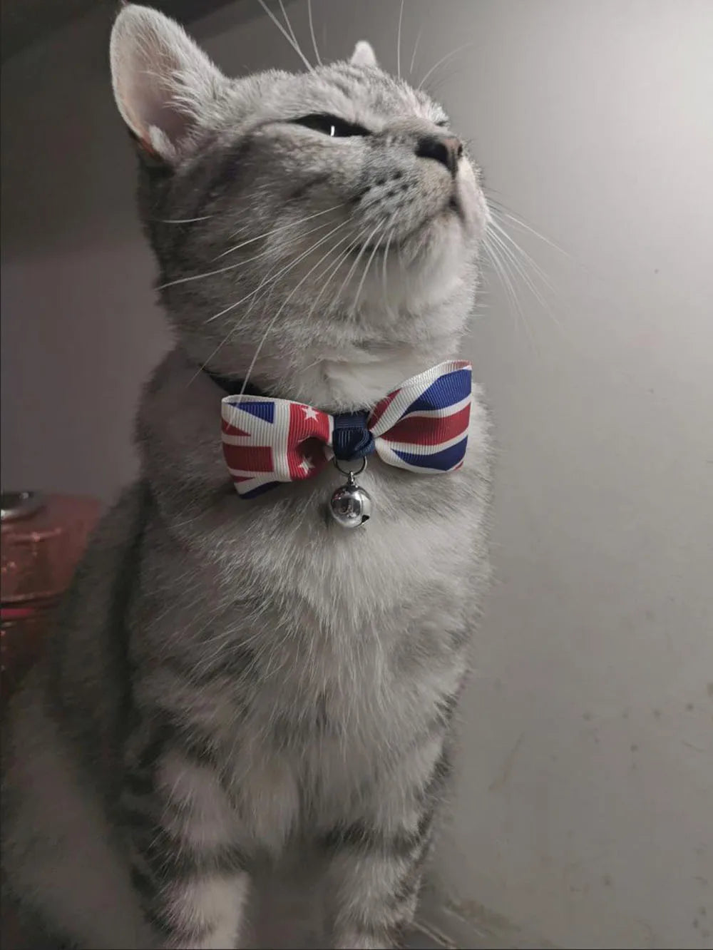 USA Themed Breakaway Bowtie Collars