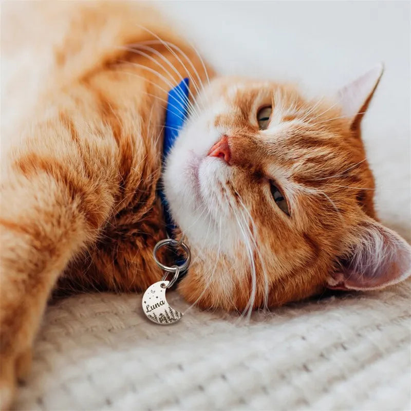 Waning Crescent Cat ID Moon Tag