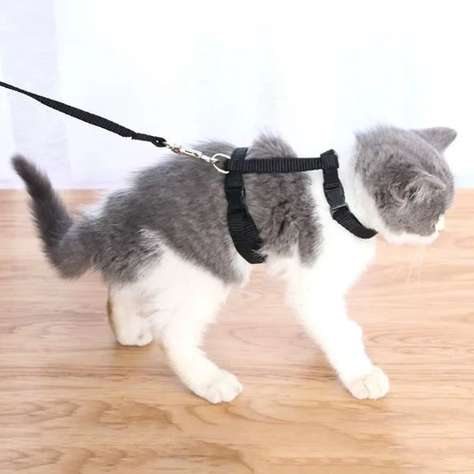 Simple Cat Harness w/ Matching Leash Set