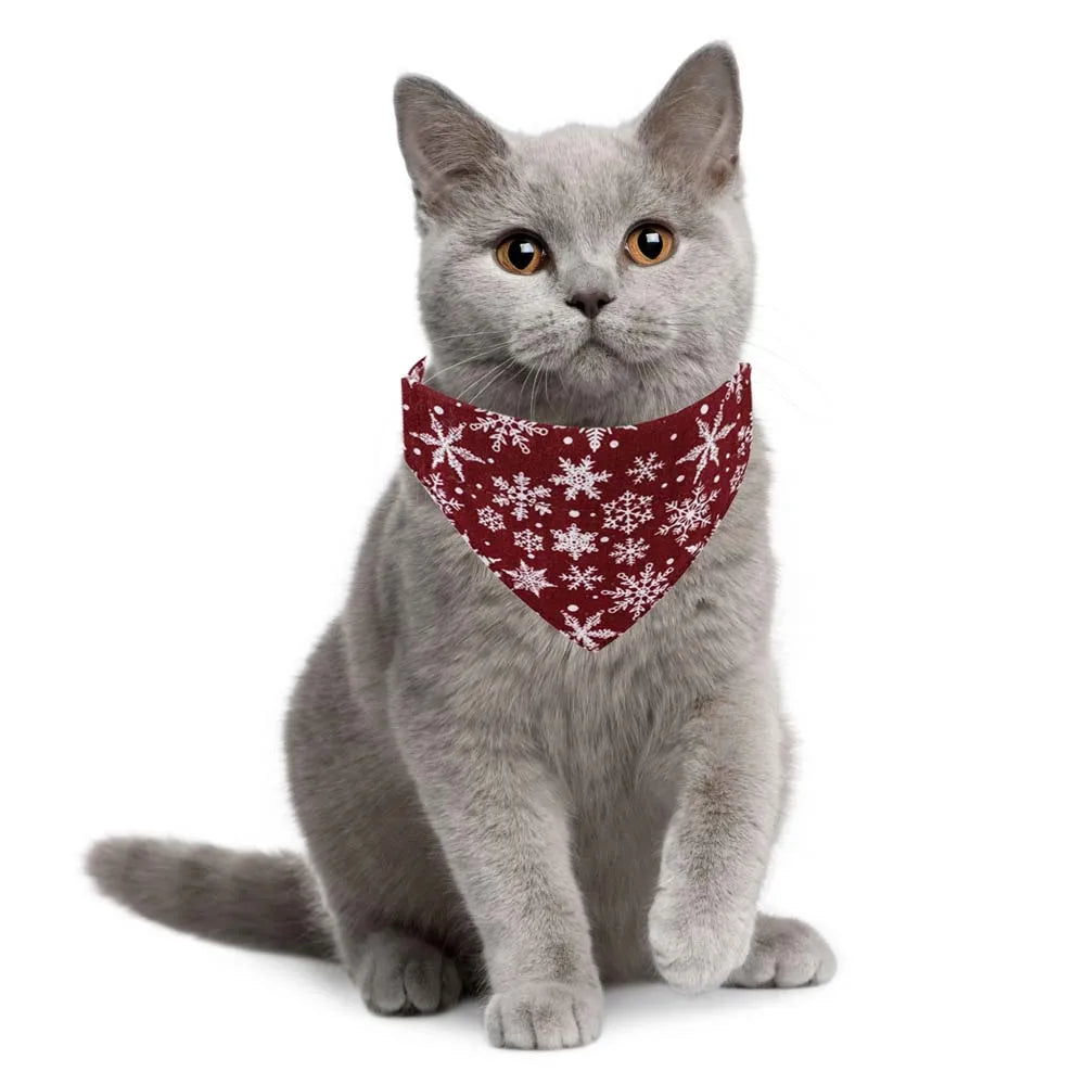 Tis the Season Christmas Cat Collar w/ Detachable Bowtie