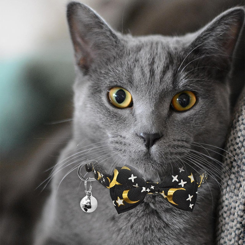 Celestial Cat Collars