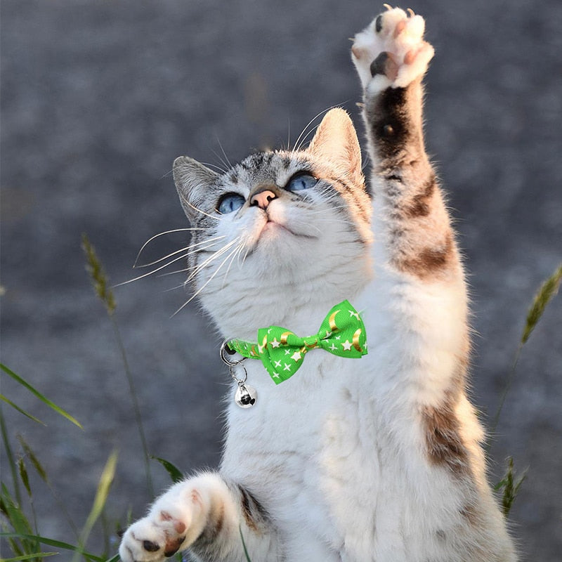 Celestial Bow Tie Cat Collar