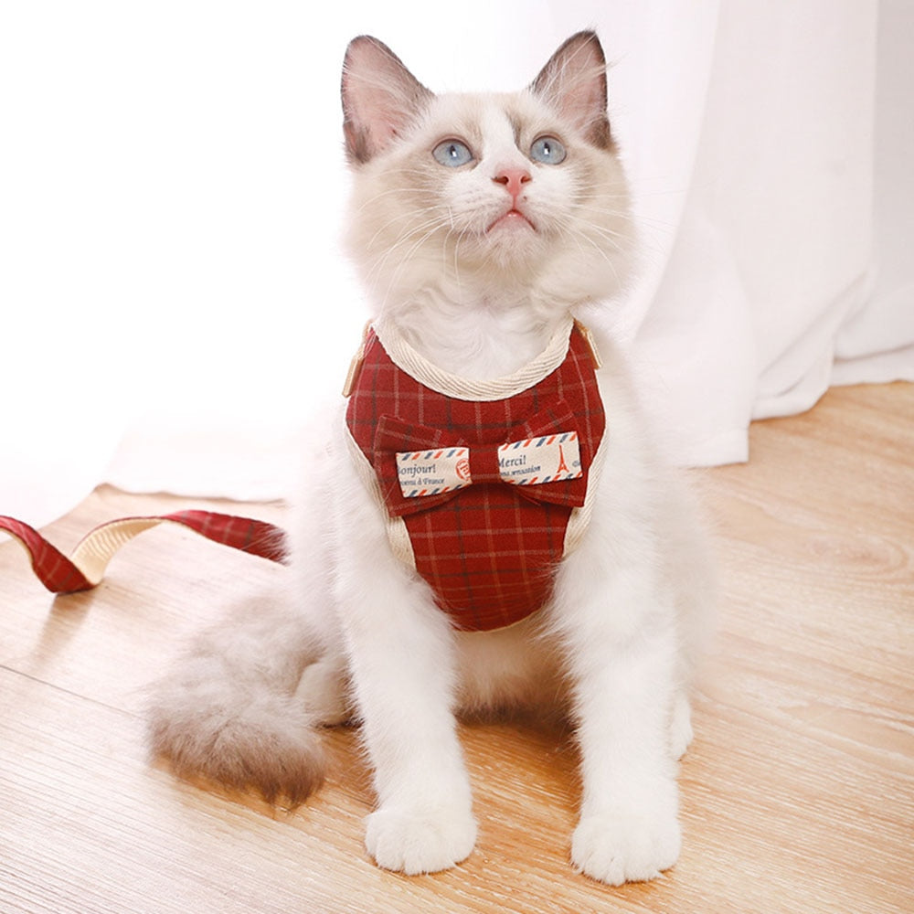 Adorably Puurrfect Bowknot Cat Harness
